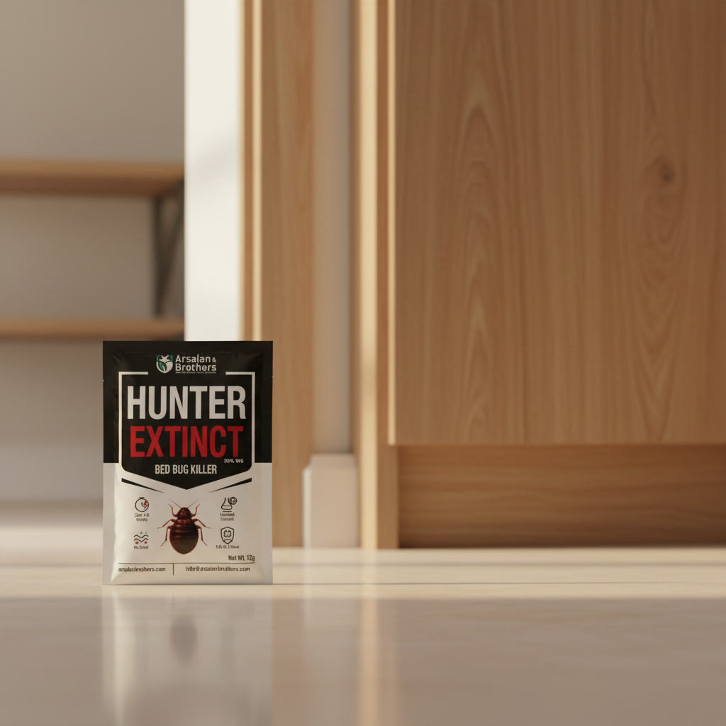 How to Get Rid of Termites (Deemak) in Pakistan